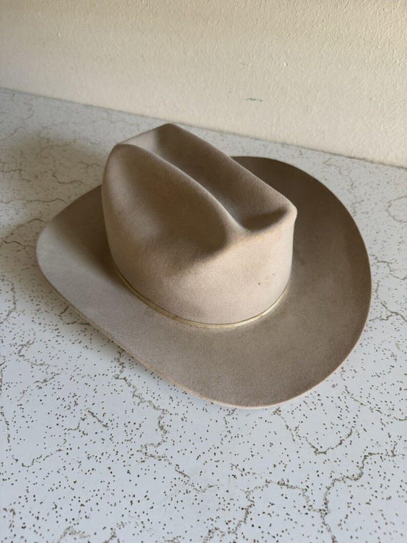 Chapeau castor Stetson vintage des années 1950, Fedora gris avec plumes, taille 6 7/8