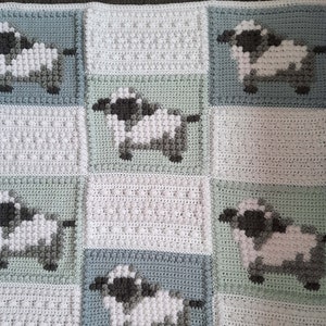 VALENTINE PACKAGE pattern for crocheted blanket