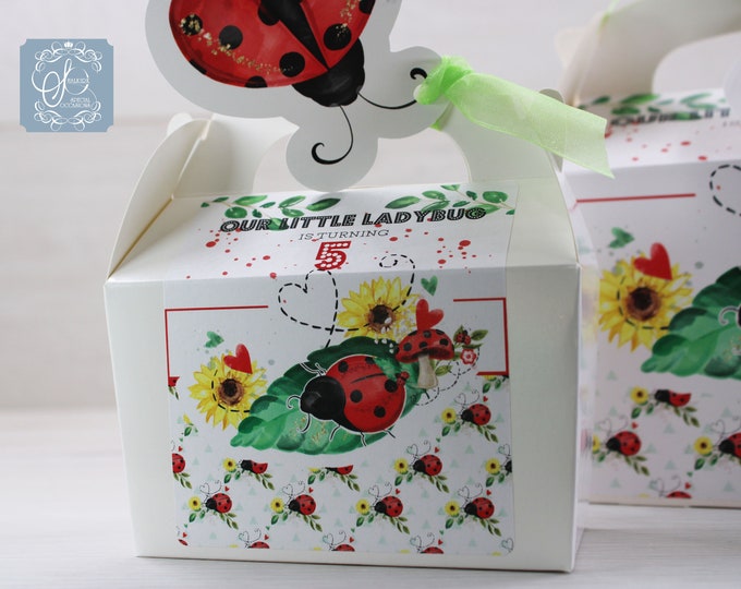 Personalised Children's Gable Party Activity Gift Cake Lunch Boxes for Wedding, birthday, christening, Ladybug