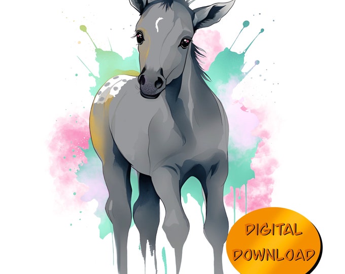 Fanny ~ A black Appaloosa Foal