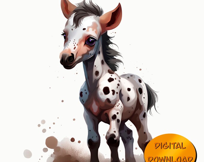 Appaloosa Foal 1