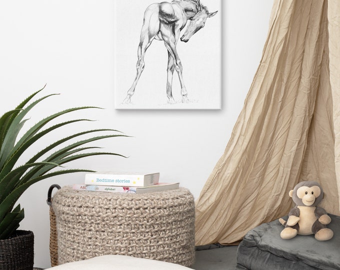 Itch - Horse Canvas Print