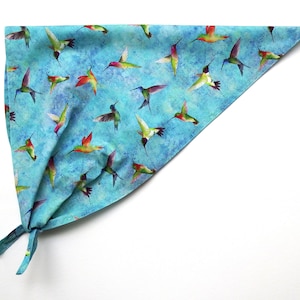 May include: A blue bandana with a pattern of colorful hummingbirds flying against a light blue background. The bandana is tied at the bottom.