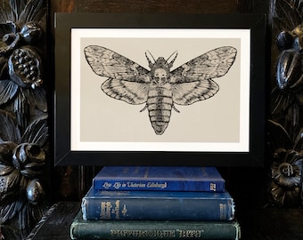 Death Moth Art Print, Gothic Home Decor