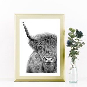 May include: A black and white pencil drawing of a Highland cow with long, shaggy hair. The cow is looking directly at the viewer with a serious expression. The drawing is framed in a gold frame.