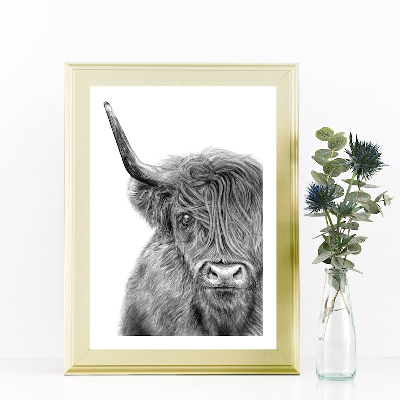 May include: A black and white pencil drawing of a Highland cow with long, shaggy hair. The cow is looking directly at the viewer with a serious expression. The drawing is framed in a gold frame.