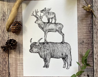 Scottish Wildlife Pen & Ink Art Print - Highland Cow, Stag, Fox