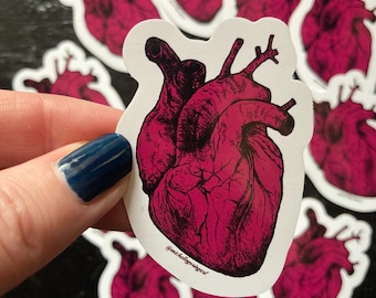 Anatomical Human Heart Vinyl Sticker, Gothic Style