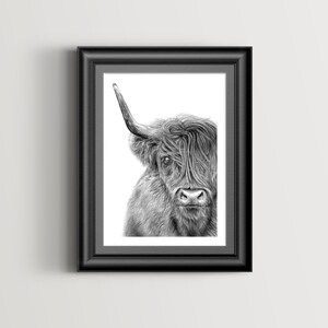 May include: Black and white pencil drawing of a Highland cow with long, shaggy hair. The cow is looking directly at the viewer with a serious expression.
