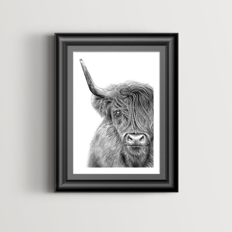 May include: Black and white pencil drawing of a Highland cow with long, shaggy hair. The cow is looking directly at the viewer with a serious expression.