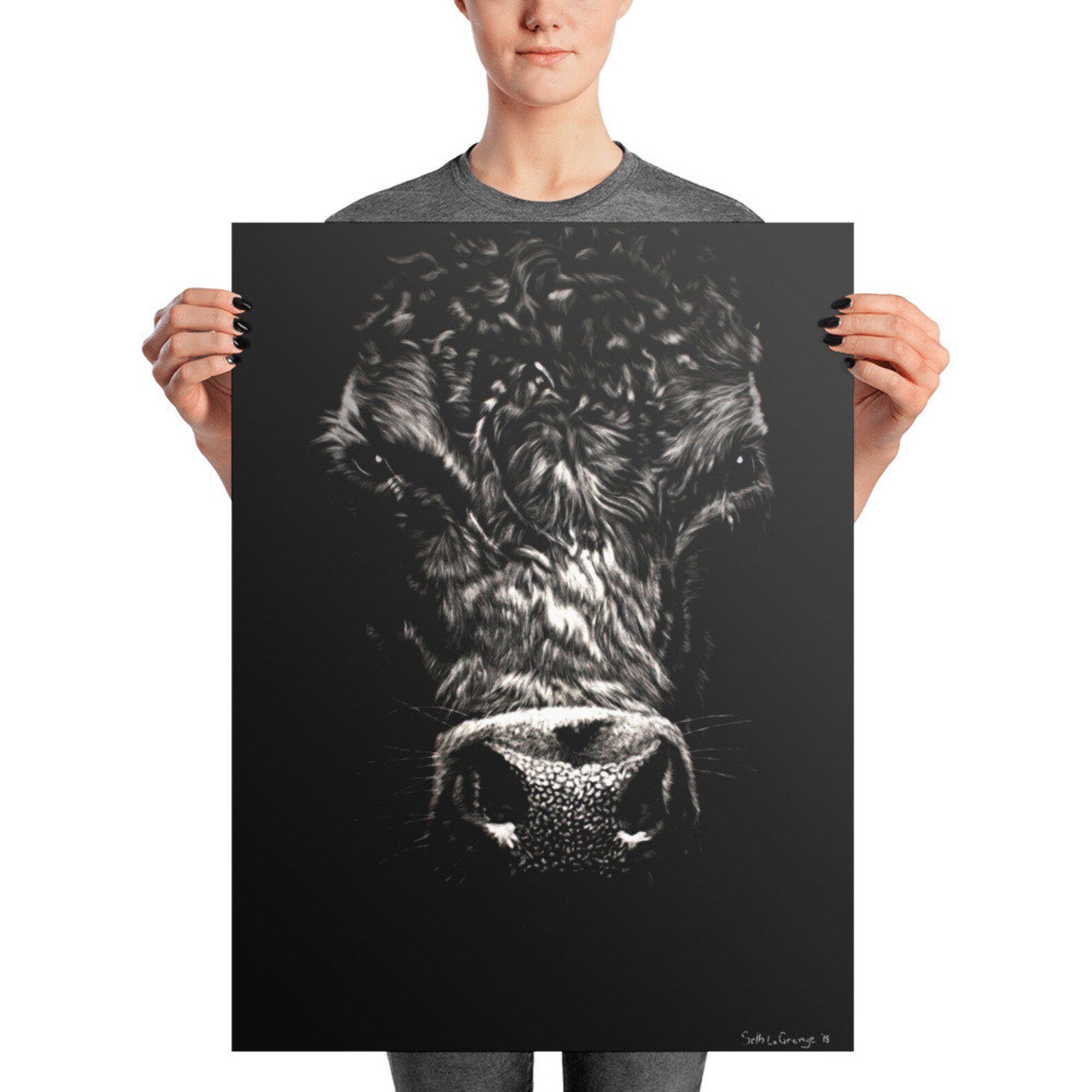 Angus Cow Fine Art Print Scratchboard Print Premium Luster Etsy