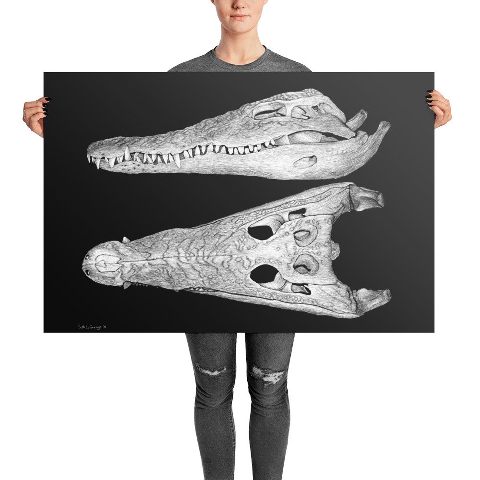 Nile Crocodile Skull Scratchboard Print Etsy