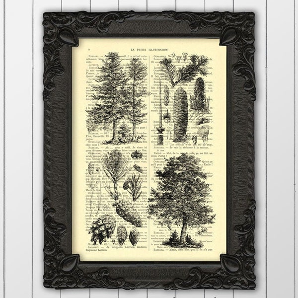 Pine trees print forest mountains print pine cones