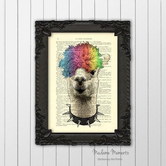 Llama Funny Wall Art Print Cool Punk Rock Alpaca With Choker Collar Necklace And Rainbow Hair Poster Dorm Room Ideas