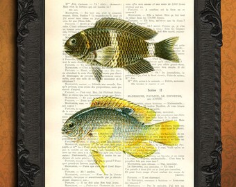 sealife prints - vintage dictionary art print fish print on vintage dictionary page
