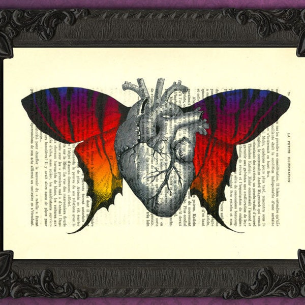 ANATOMICAL HEART illustration with vintage butterfly wings art print on antique book page dictionary 457