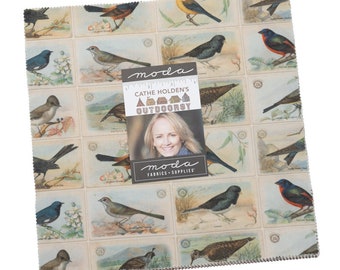 Outdoorsy - Layer Cake- 42 pieces - Moda Fabrics