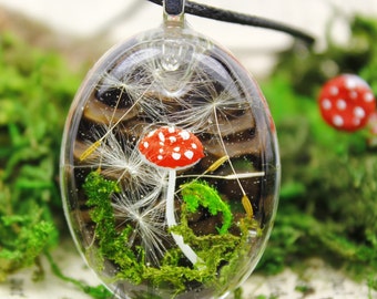 Amanita muscaria, diente de león real/musgo real/hongo/único