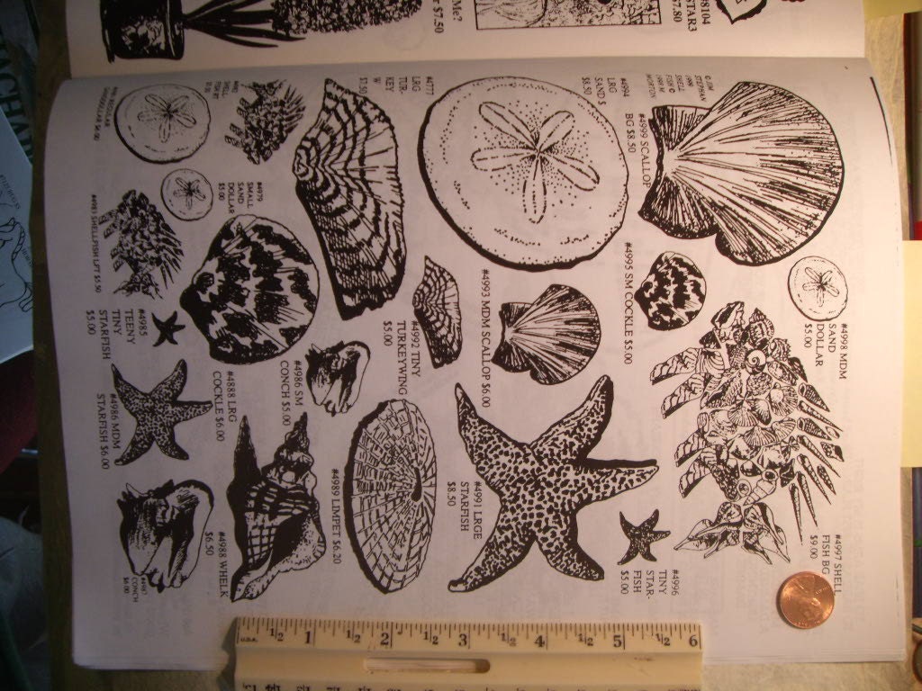 Sea Shells, Star Fish Sand Dollar Rubber Stamps Un-mounted