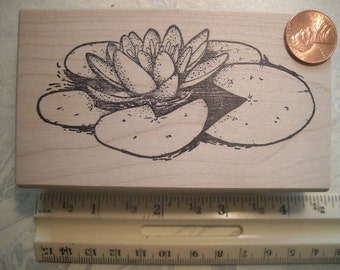 water lily, pond lily, blossom a  Wood mounted rubber stamp