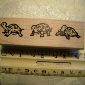 turtle tortoise parade rubber stamp wood mounted scrapbooking rubber stamping