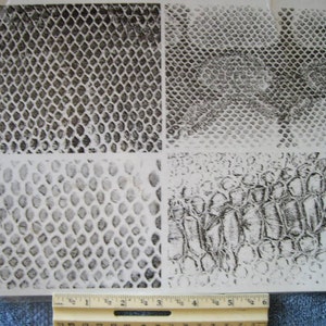 May include: A clear plastic sheet featuring four different reptile skin patterns in black and white. The patterns include snake and crocodile skin designs, with a ruler at the bottom for scale. The sheet is likely used for crafts or design.