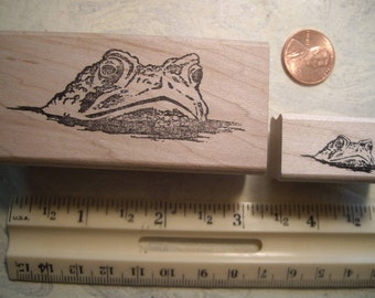 frog head above water rubber stamp wood mounted scrapbooking rubber stamping