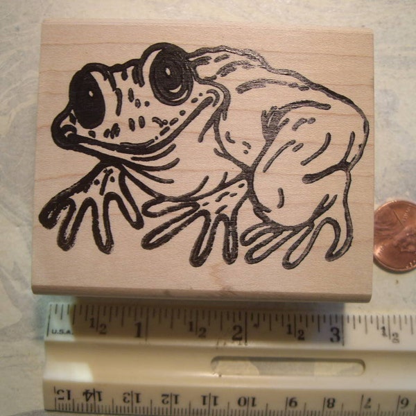 big eyed frog rubber stamp wood mounted scrapbooking rubber stamping