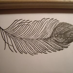 peacock feather large  rubber stamp un-mounted scrapbooking rubber stamping crafting