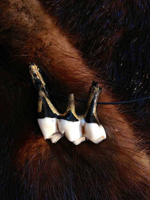 Items similar to Animal bones / skull art / teeth jewelry / moose