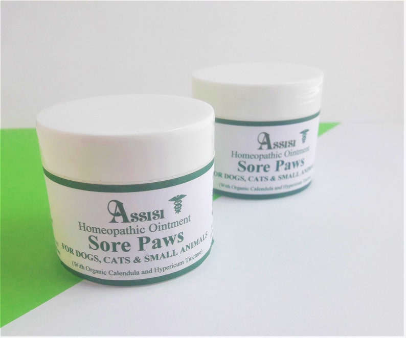 Assisi SORE PAWS Healing Ointment HOMEOPATHY for Dogs Etsy Australia