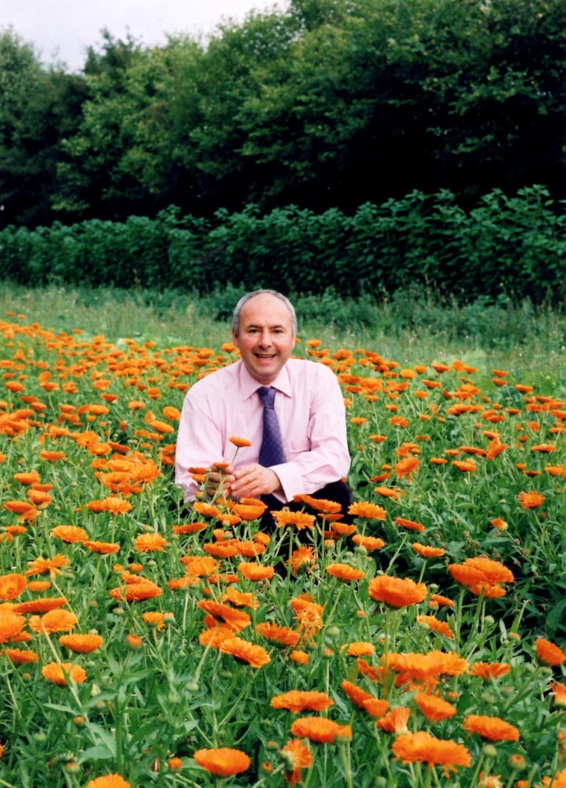 SCAR TISSUE HOMEOPATHY Cream kit for post operative & Scar Etsy