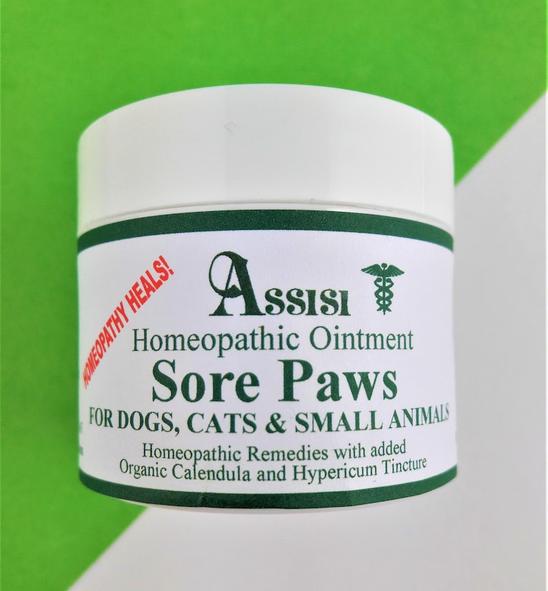 Assisi SORE PAWS Healing Ointment HOMEOPATHY for Dogs Etsy