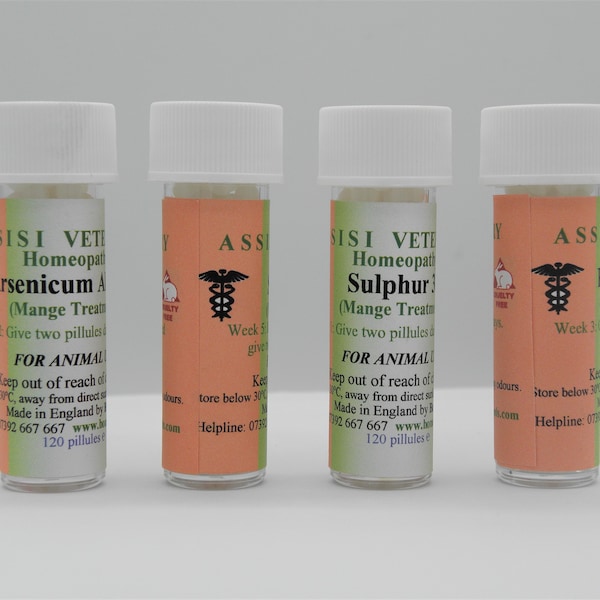 Sarcoptic Mange Treatment for Foxes Etsy