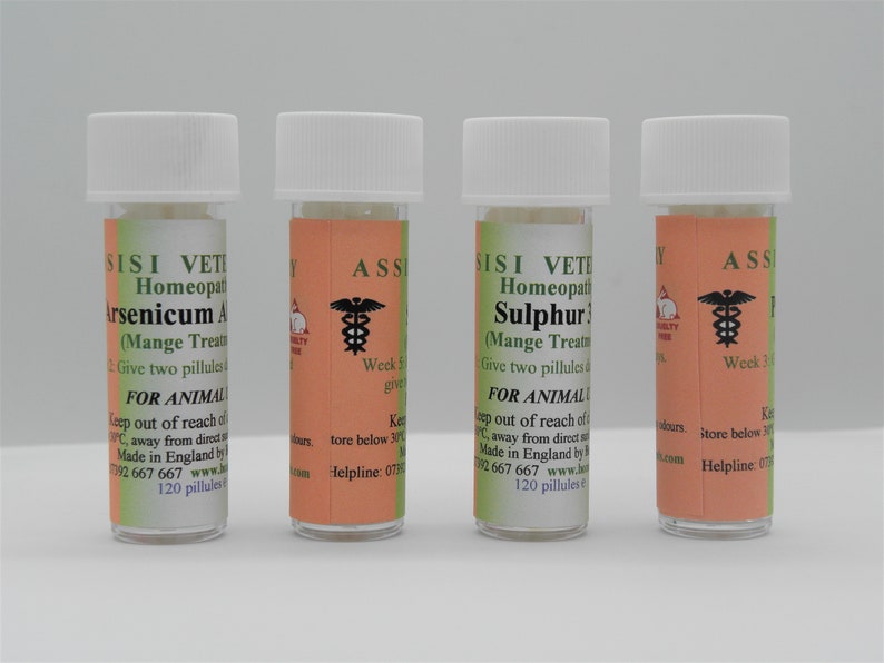 Sarcoptic Mange Treatment Kit Dogs Cats Pets Feral Cats Horses Etsy