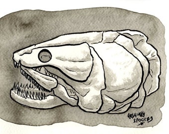 Skull of Bowfin, Original Ink Drawing