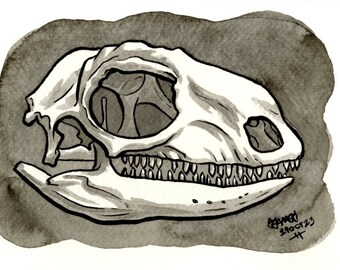 Skull of Green Iguana, Original Ink Drawing