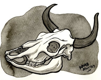 Skull of Cow, Original Ink Drawing