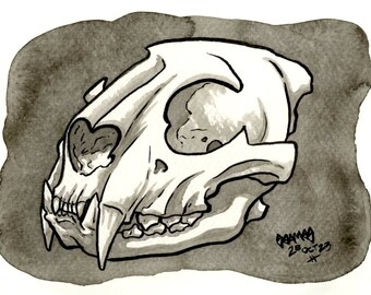 Skull of Leopard, Original Ink Drawing