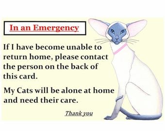 Siamese Cat Home alone Alert Emergency Cards x2