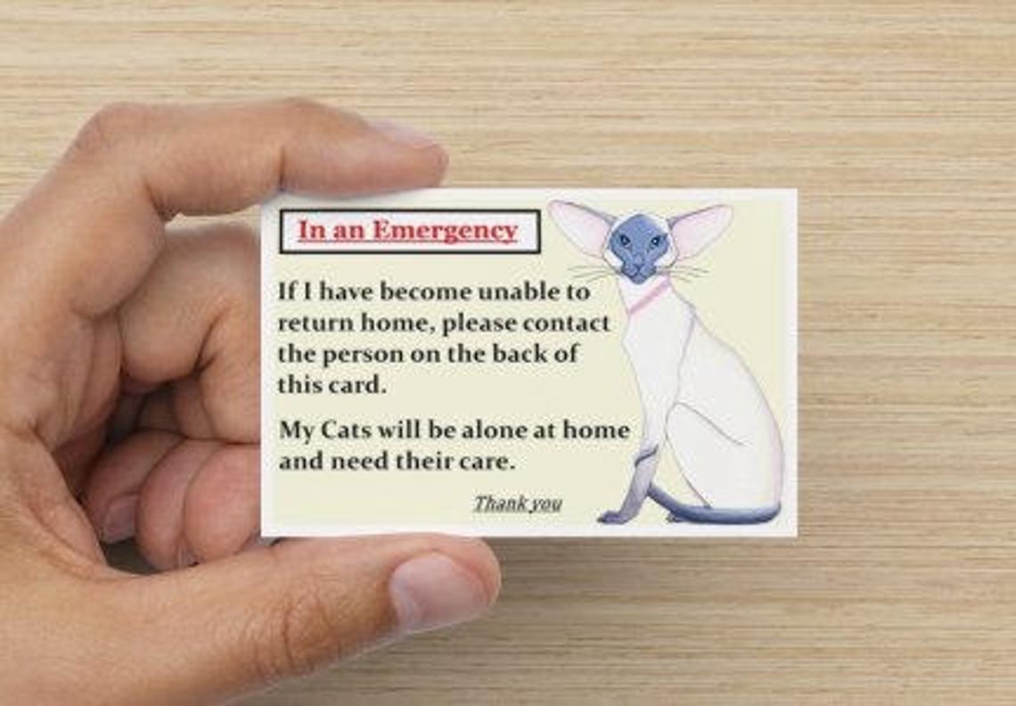 Siamese Cat Home Alone Alert Emergency Cards X2 - Etsy UK