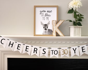 30th Anniversary banner - custom birthday banner - birthday decorations - Happy Birthday banner - 30th Birthday banner - Cheers to 30 Years