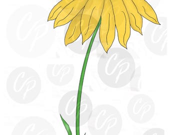 Digital Stamp , Baby Announcement, Baby Shower, Newborn, Flower, Daisy, baby bloom,  Spring, Baby Floral, Spring Flowers