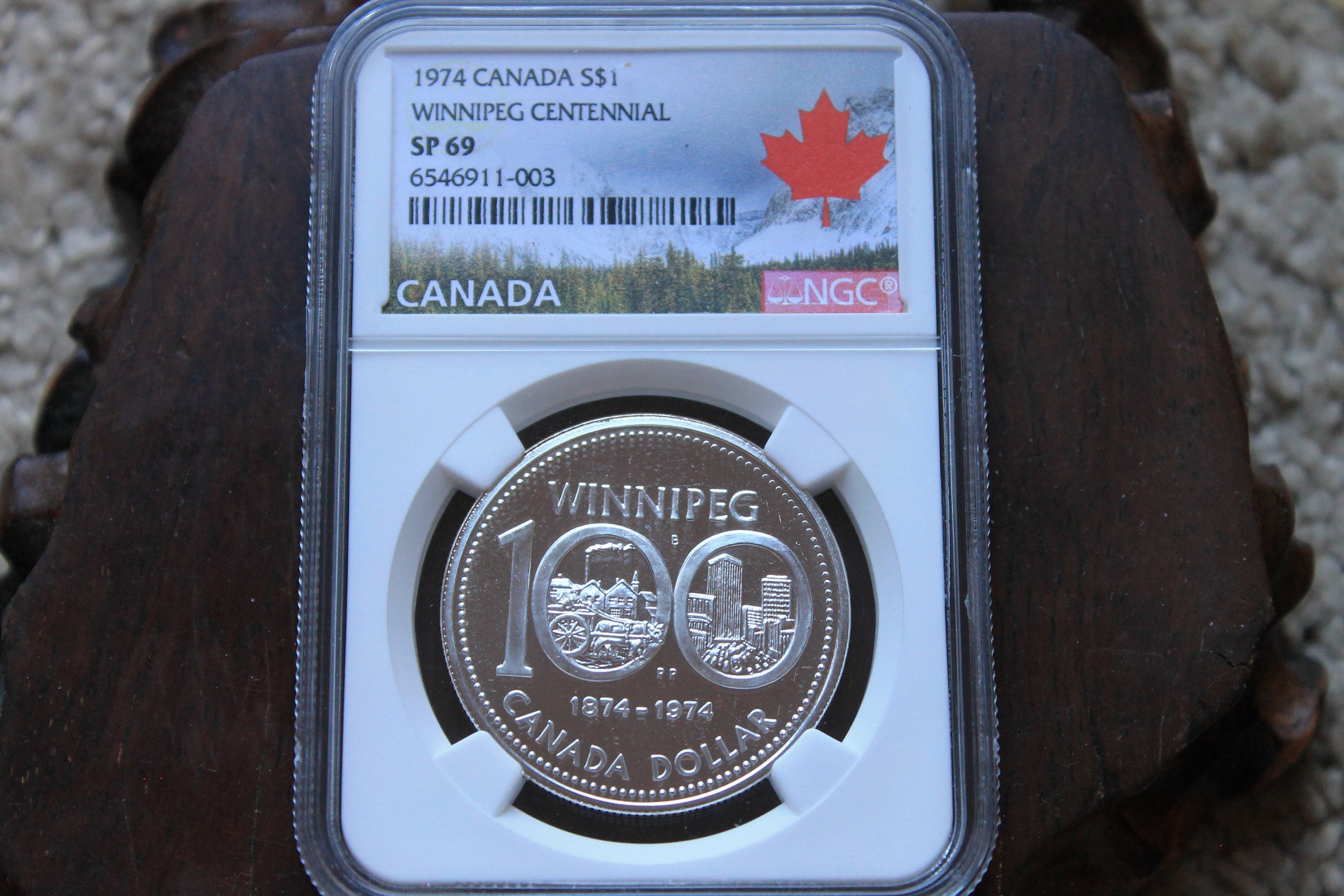 1974年カナダ ウィニペグ 100周年記念 銀貨 SP69 - Etsy 日本