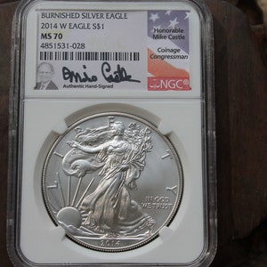 2014 Burnished American Silver Eagle Coin MS70