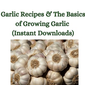 Garlic Recipes - How to Grow Garlic - PDF - Printable - Instant Downloads - Organic - Garden - Hardneck Garlic - Fall and Spring planting