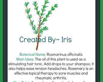 Rosemary - Healthy Hair - Instant Download - Herb - Beauty - Essential Oils - Printable - Art Card - Gift - Nature - 8x10 - JPG - Botanicals