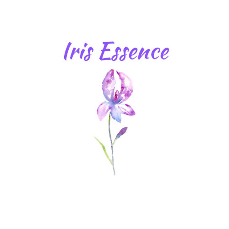 Iris Essence Natural Perfume Floral Oil 5 ml Roll On Orris Root Botanical Skincare Vegan Handcrafted Beauty Essential Oils image 2