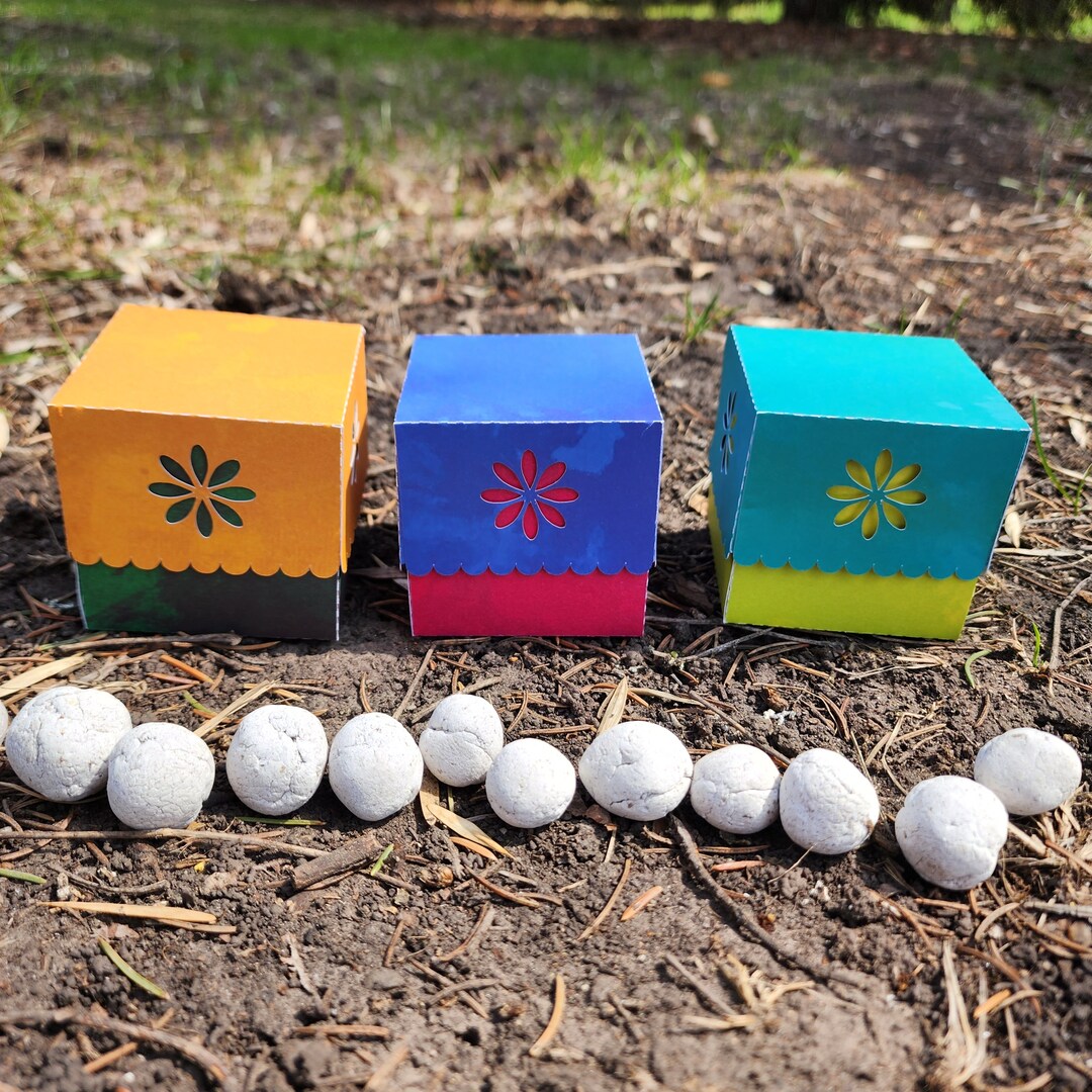 Mini Seed Bomb Gift Box US Native Wildflower Seed Bombs Etsy
