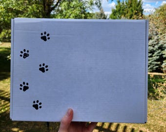 Catnip Gift Box: Handmade Toys, Quilted Play Mat & Catnip Sprinkle